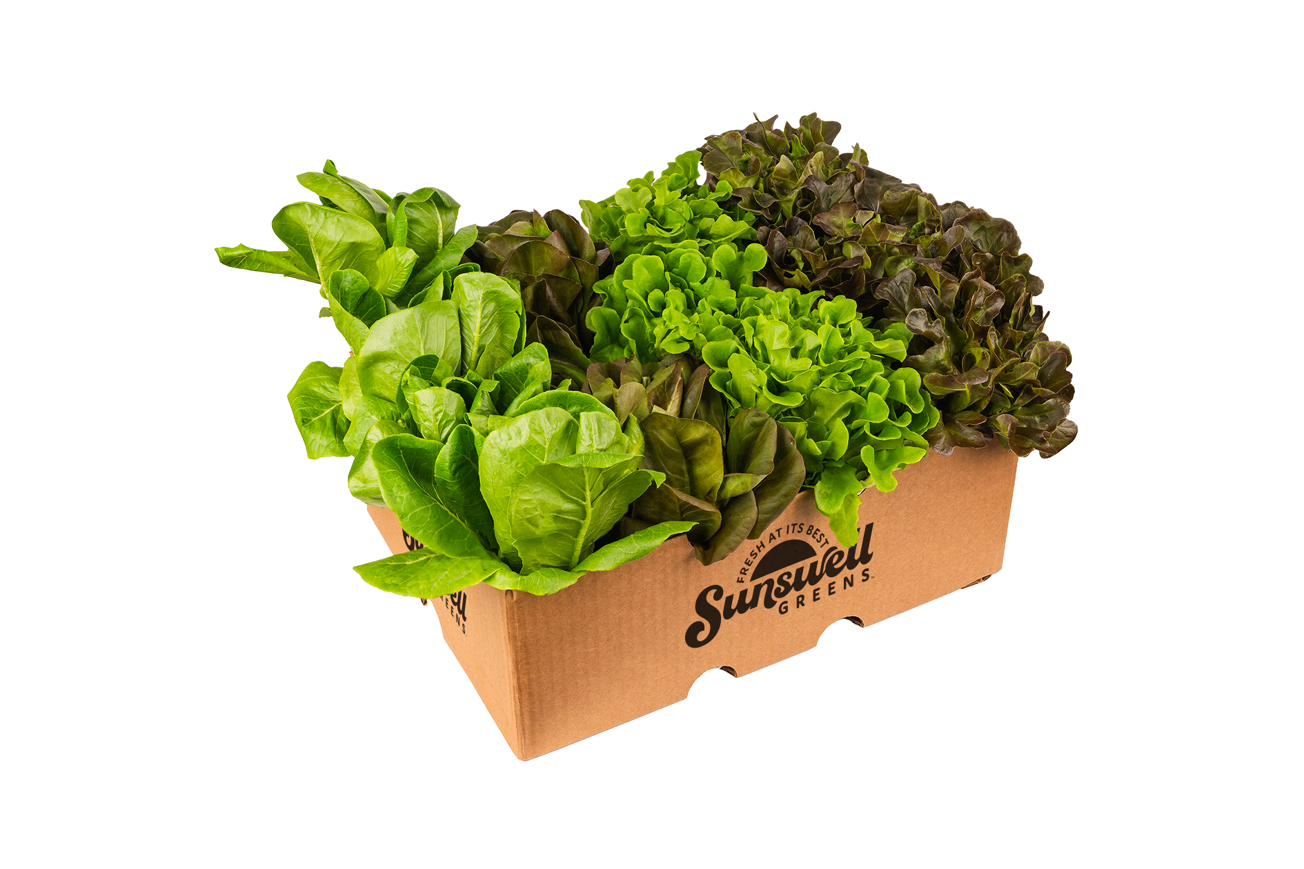 Product Chef Box