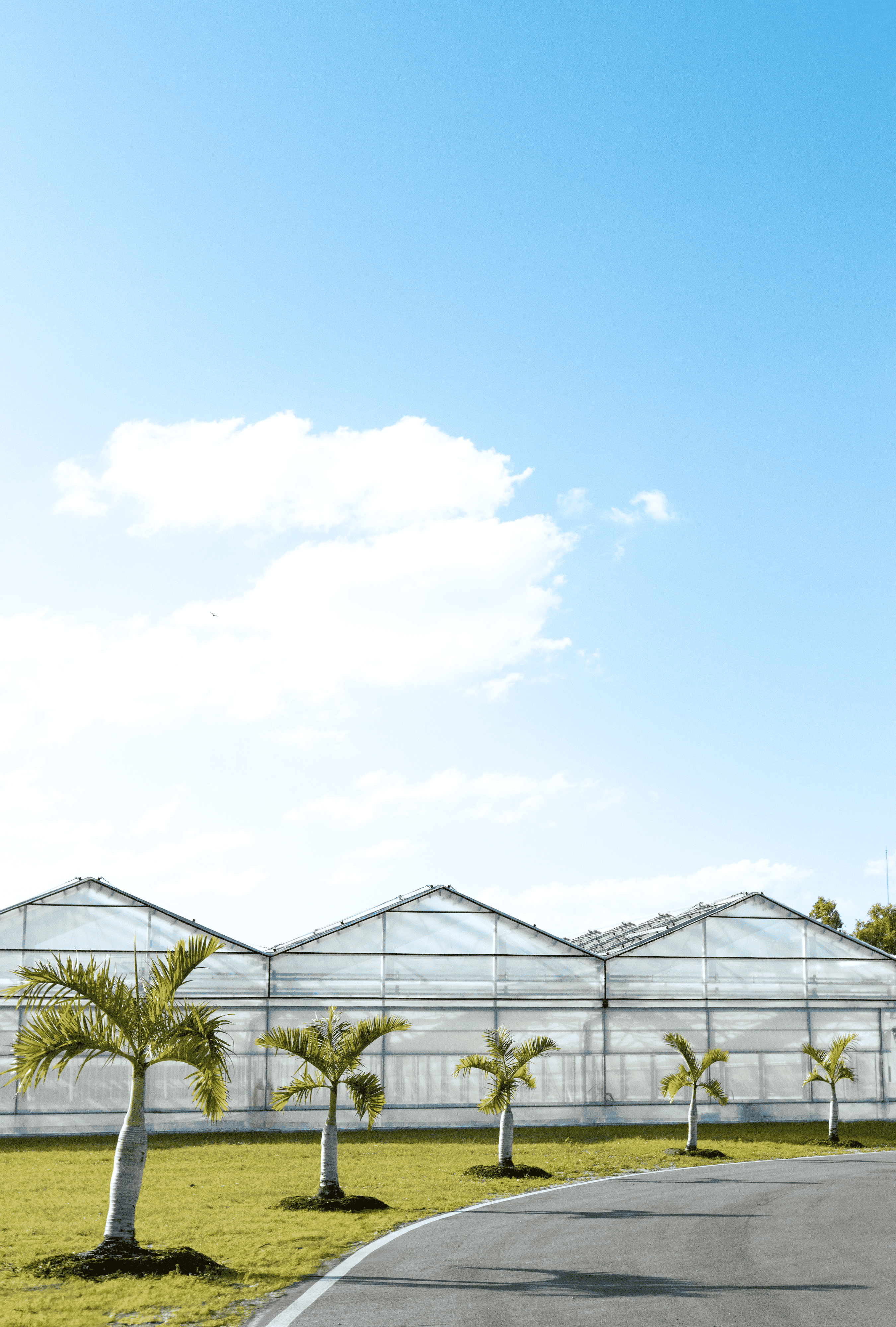 Lake Worth Farm