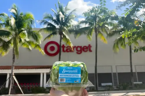 Sunswell Greens Butterhead Lettuce in front of Target store