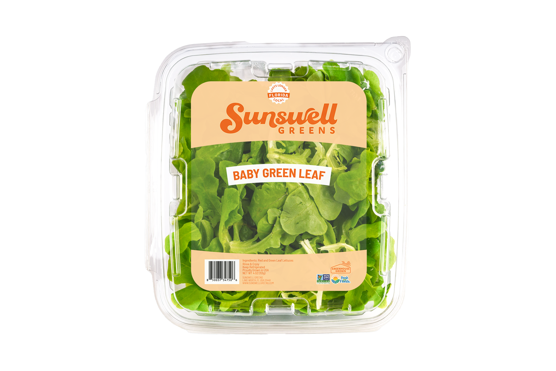 Product Baby Green Leaf Clamshell