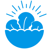 Salad bowl icon