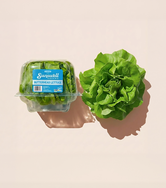Butterhead Lettuce Package & Lettuce Head